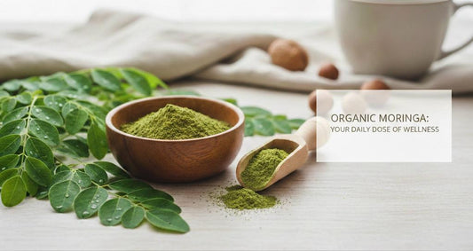 Moringa Powder: Benefits, Uses, Price & How to Choose the Best Organic Moringa Powder