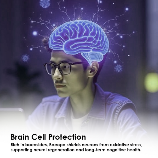 A young man wearing glasses looking at a screen, with a glowing blue digital brain illustration overlaid on his head. Text explains how Bacopa provides brain cell protection and supports neural regeneration.