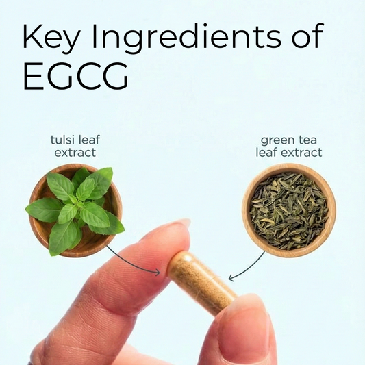 A close-up of a hand holding a single gold capsule, with arrows pointing to small wooden bowls of fresh Tulsi leaf extract and dried green tea leaf extract. Large text at the top reads, "Key Ingredients of EGCG."