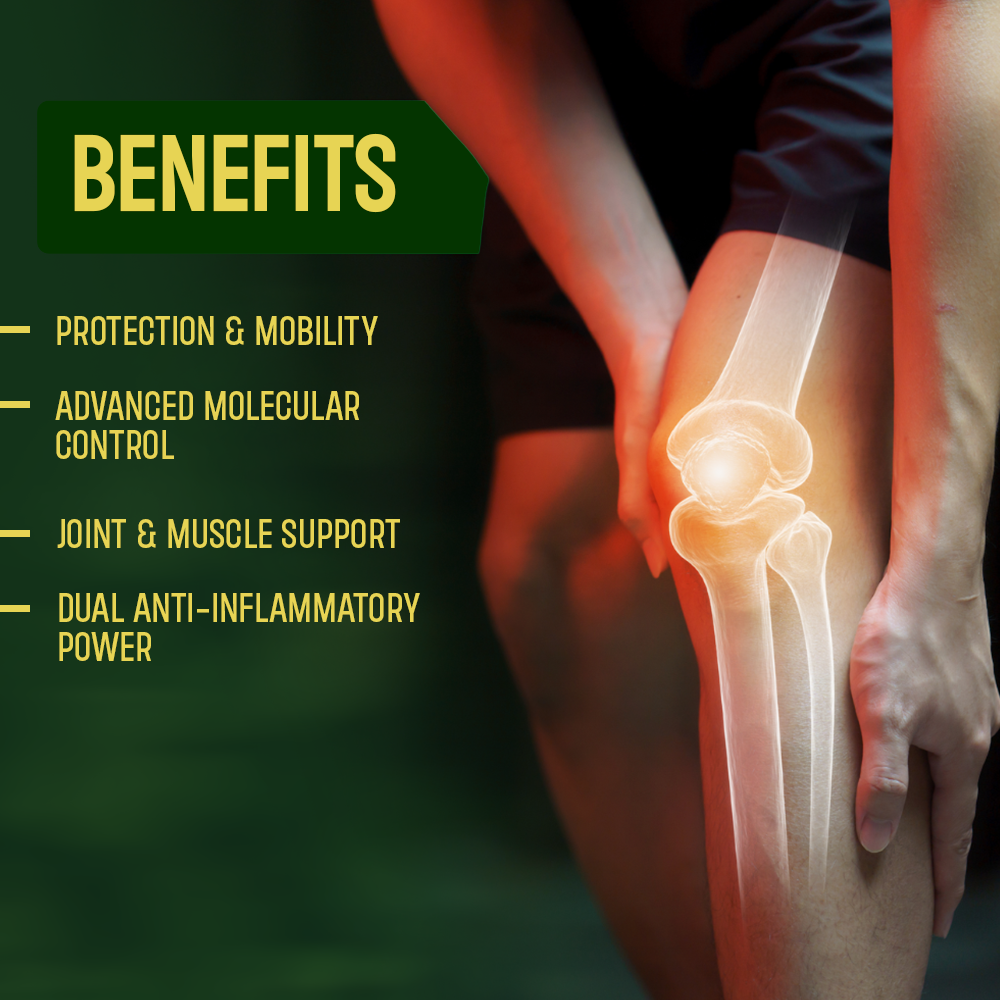 An anatomical graphic of a person's knee with a glowing red highlight on the joint, accompanied by a list of benefits: protection and mobility, advanced molecular control, joint and muscle support, and dual anti-inflammatory power.