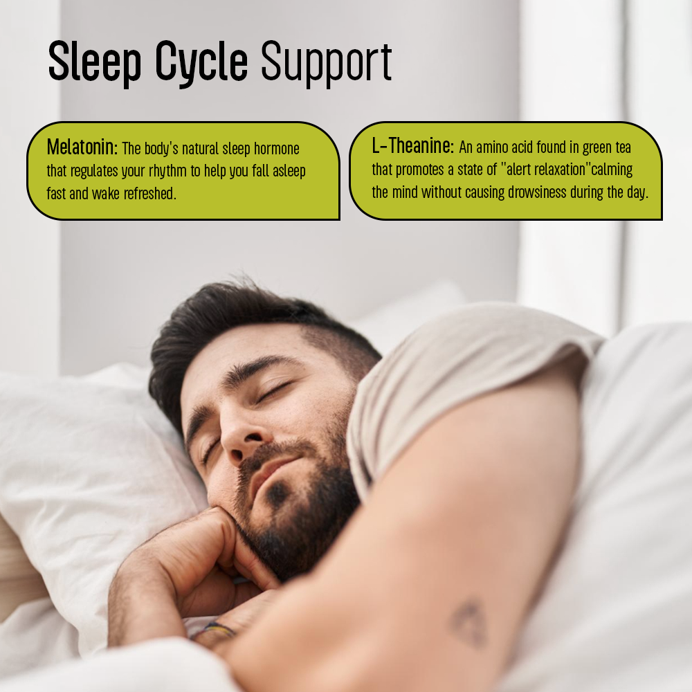 An infographic titled "Sleep Cycle Support" featuring a man sleeping peacefully in bed, with two text boxes detailing the benefits of Melatonin and L-Theanine.