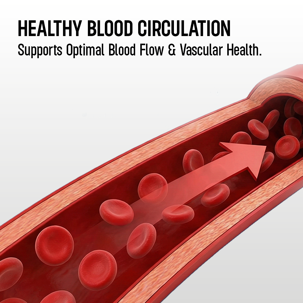 Infographic for a vascular health supplement featuring a medical cross-section illustration of an artery with red blood cells flowing through it, accompanied by text about healthy blood circulation.