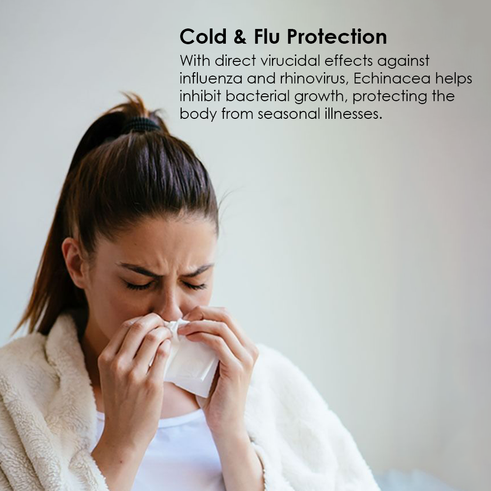 A woman sneezing into a tissue, accompanied by text explaining how Echinacea provides cold and flu protection by inhibiting bacterial growth and protecting the body from seasonal illnesses.