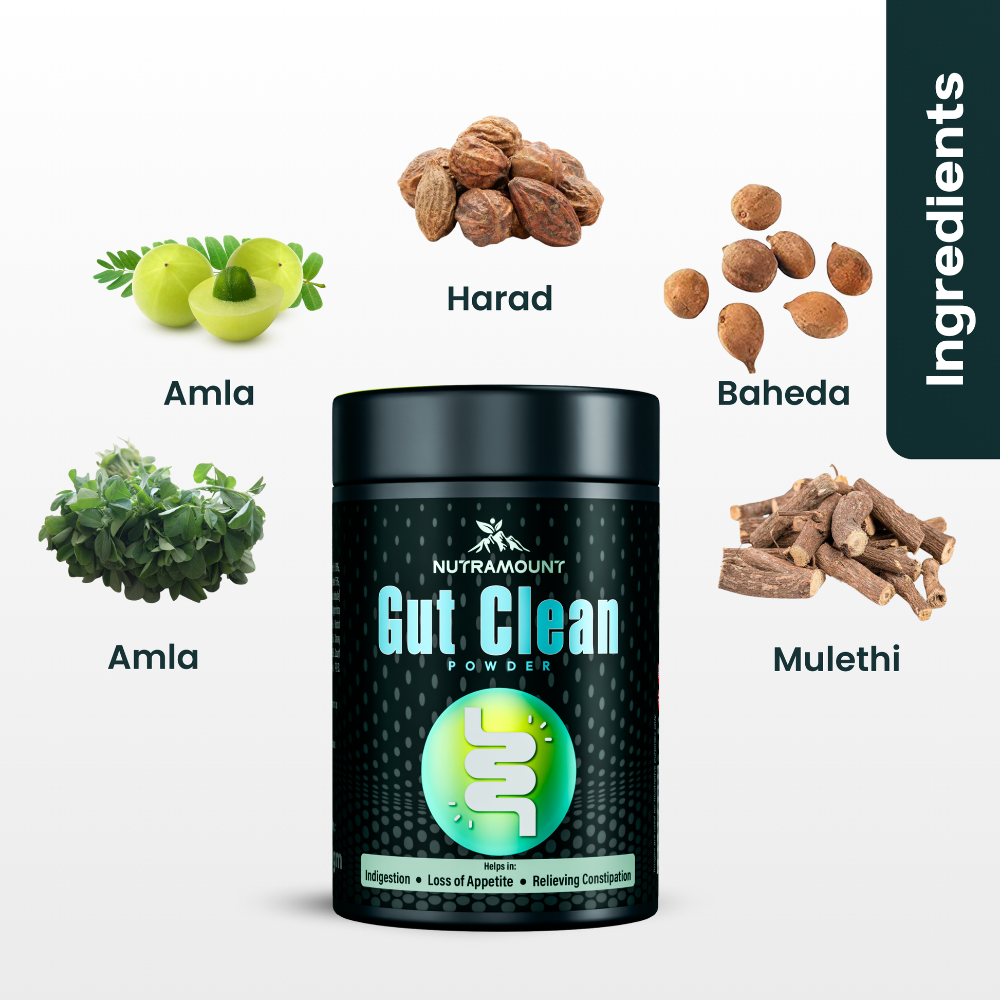 Ingredients of Gut Clean Powder ✅