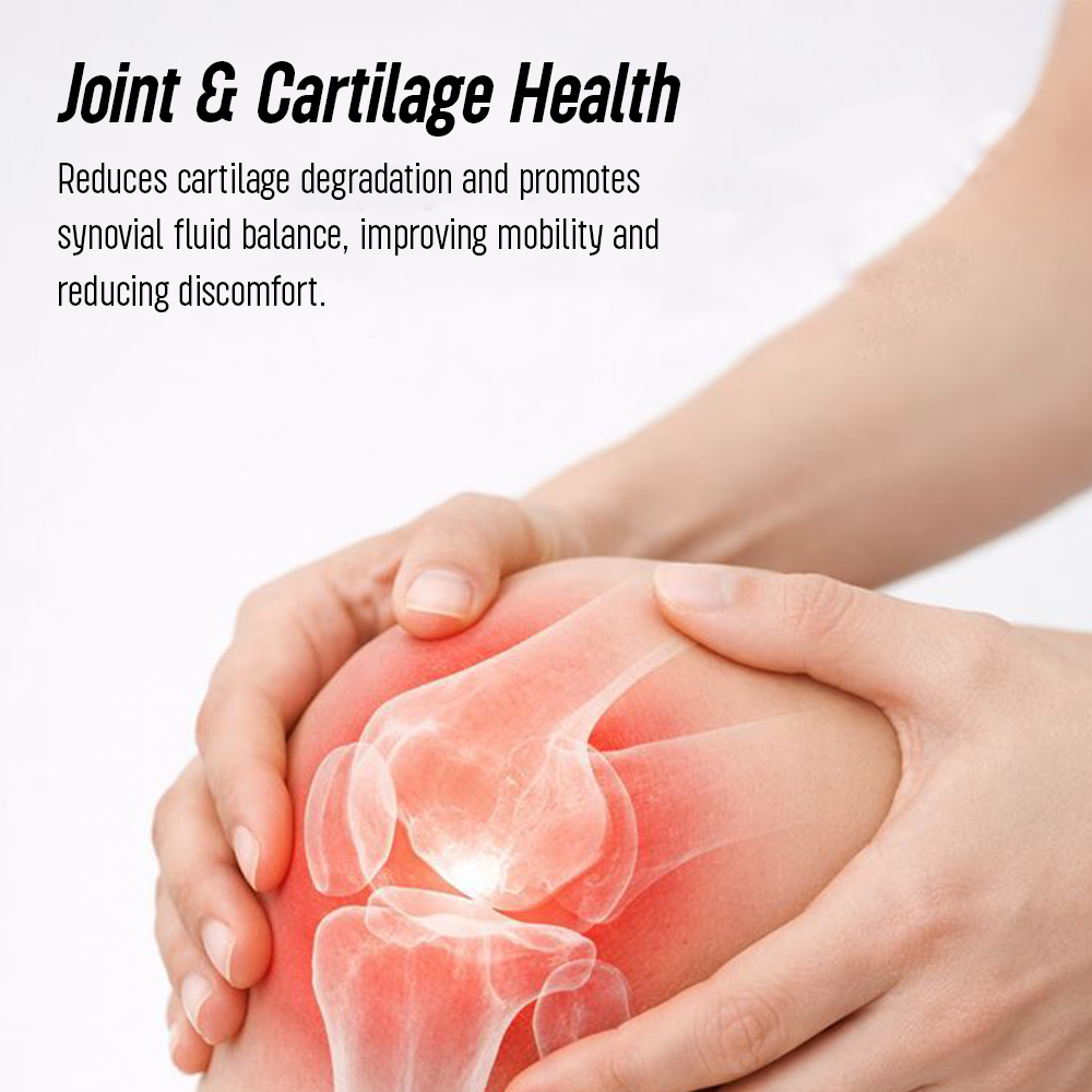 Infographic for "Joint & Cartilage Health" showing a person holding a glowing red knee joint, with text explaining benefits for mobility and discomfort.