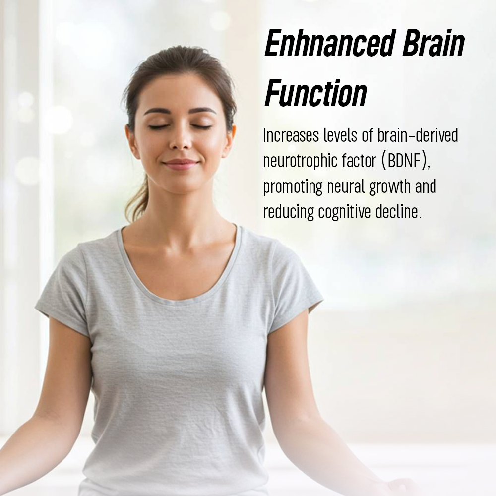 
Infographic for "Enhanced Brain Function" featuring a woman meditating with her eyes closed. Text describes how the supplement increases BDNF levels to promote neural growth and reduce cognitive decline.
