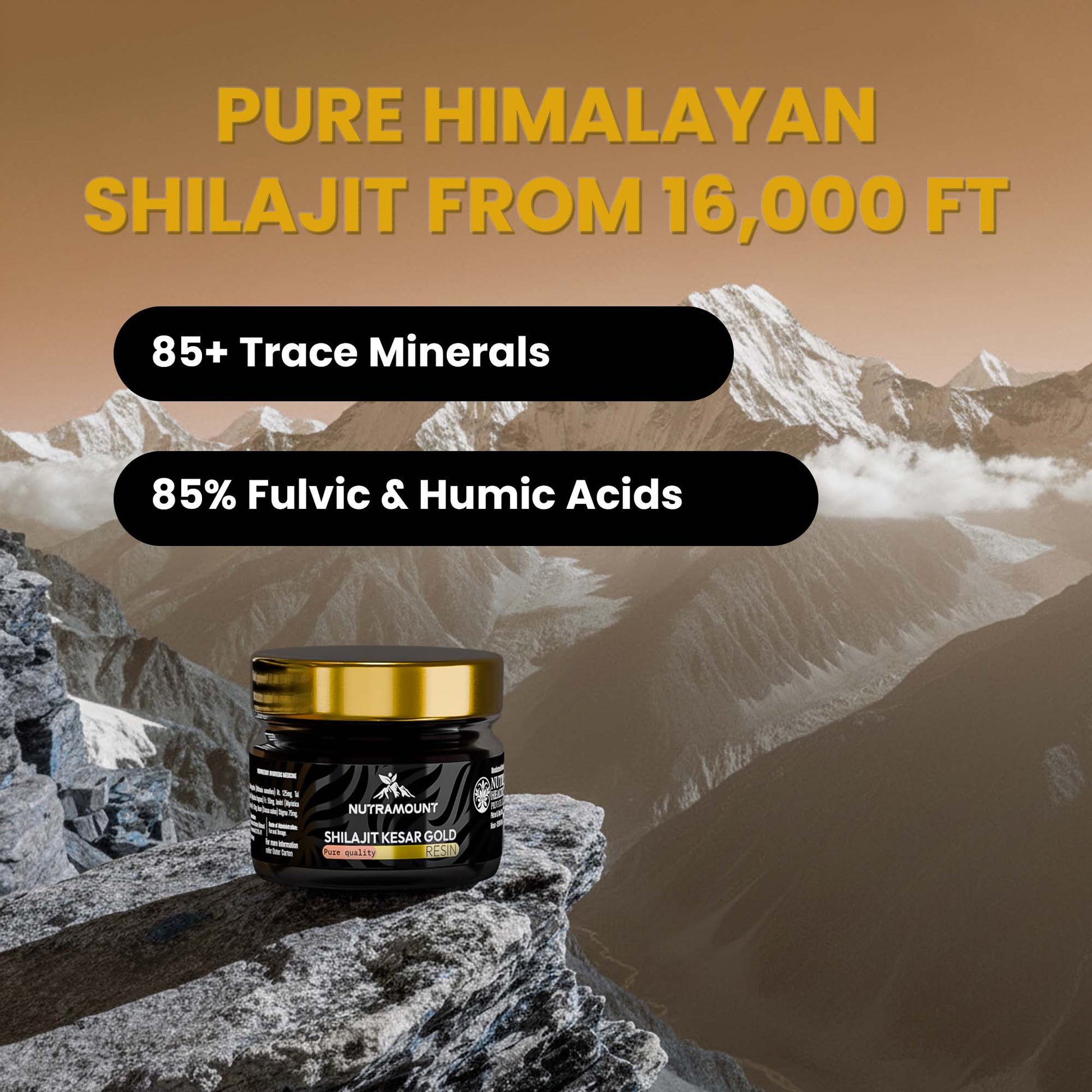Marketing graphic for **Shilajit Kesar Gold** set against a Himalayan mountain backdrop. It highlights the product is sourced from **16,000 ft** and contains **85+ trace minerals** and **85% Fulvic & Humic acids**.