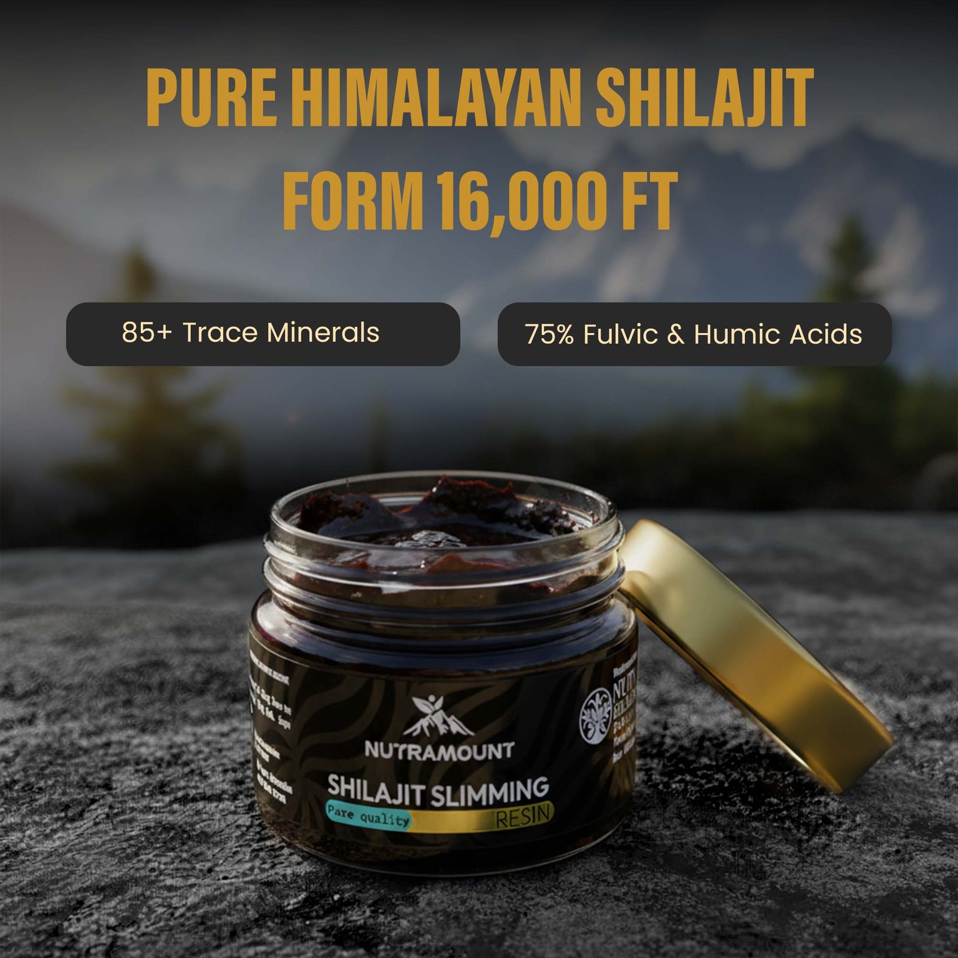 Marketing graphic for **Shilajit Slimming Resin** set against a misty mountain landscape. It states the product is sourced from **16,000 ft** and contains **85+ trace minerals** and **75% Fulvic & Humic acids**.