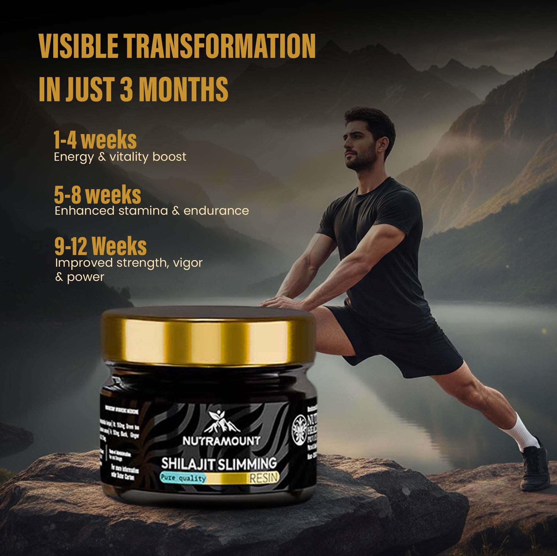 Marketing graphic for **Shilajit Slimming Resin** titled "Visible Transformation in Just 3 Months." It shows a man exercising in a mountain landscape alongside a 12-week timeline for **energy**, **stamina**, and **strength** gains.