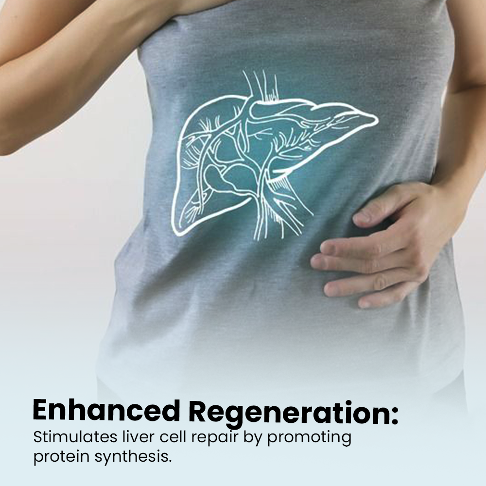 Infographic from image_e17b15.jpg for "Enhanced Regeneration" featuring a person with an anatomical liver illustration overlay. Text states the supplement stimulates liver cell repair by promoting protein synthesis.