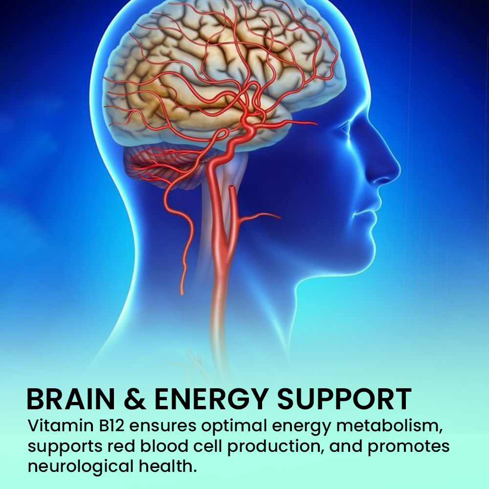 An anatomical illustration of a human head in profile showing the brain and blood vessels. Text below titled "BRAIN & ENERGY SUPPORT" describes how Vitamin B12 promotes energy metabolism, red blood cell production, and neurological health.