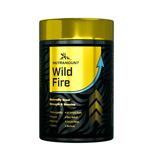 Wildfire 40 – Advanced Performance & Stamina Formula