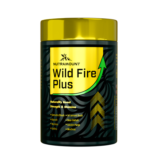 Wildfire 40+ – Strength & Performance Support for Men 40+