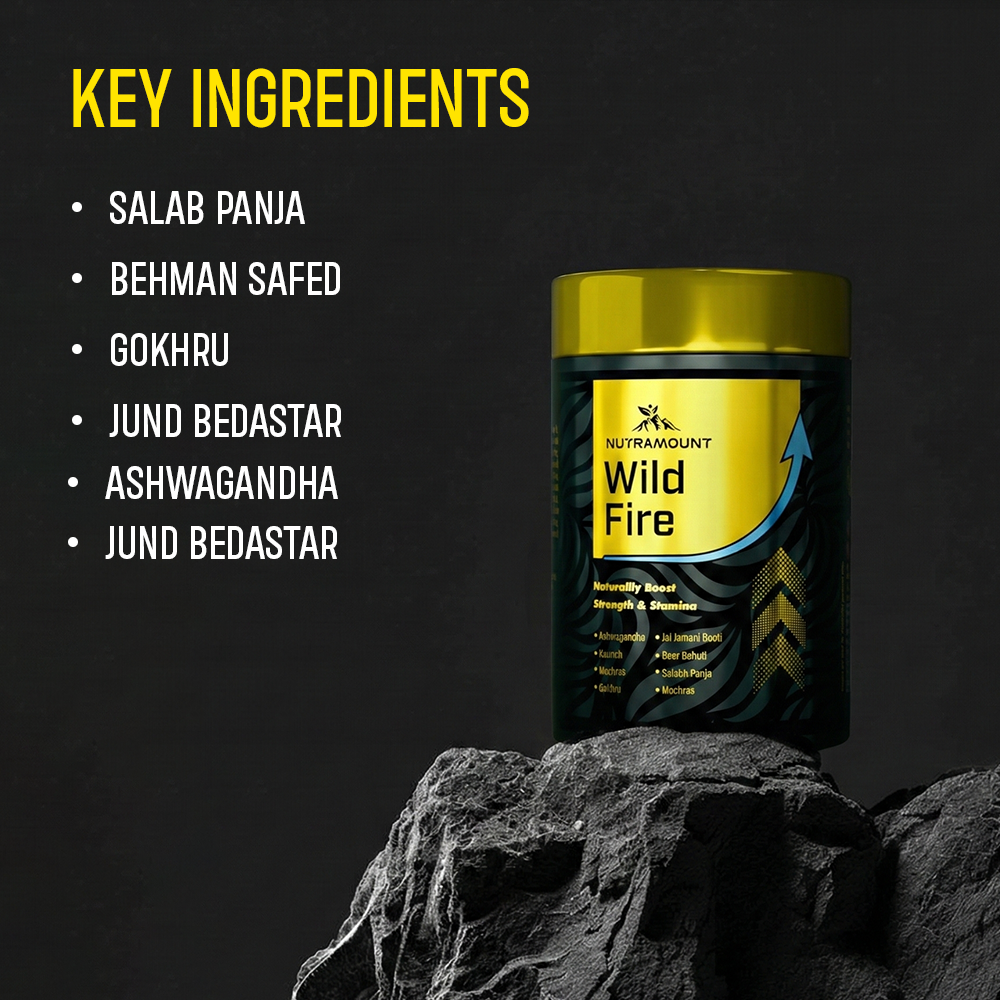 Graphic for Nutramount Wild Fire showing the product container resting on a rock. A list of key ingredients—including **Ashwagandha**, **Salab Panja**, and **Gokhru**—is displayed in white text on the left.